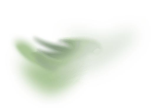 section image-1